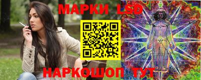 стаф Донецк