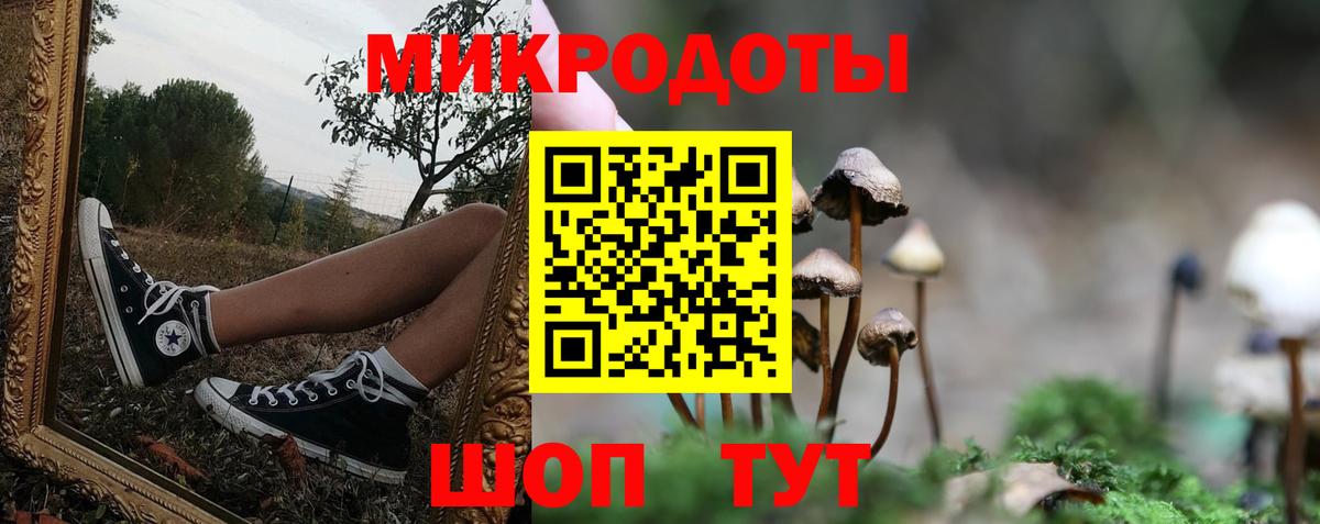 Мурманск  Галлюциногенные грибы Psilocybe  Вход с VPN  Псилоцибиновые грибы прущие грибы 