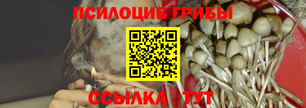 Псилоцибиновые грибы Psilocybe Мурманск
