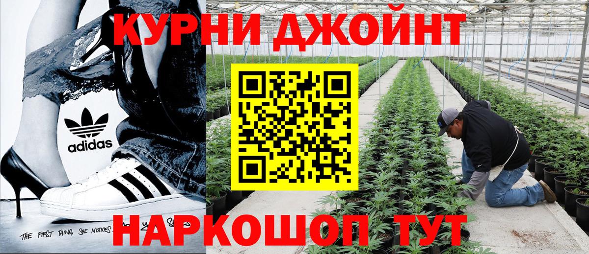 МАРИХУАНА ГИДРОПОН Мурманск